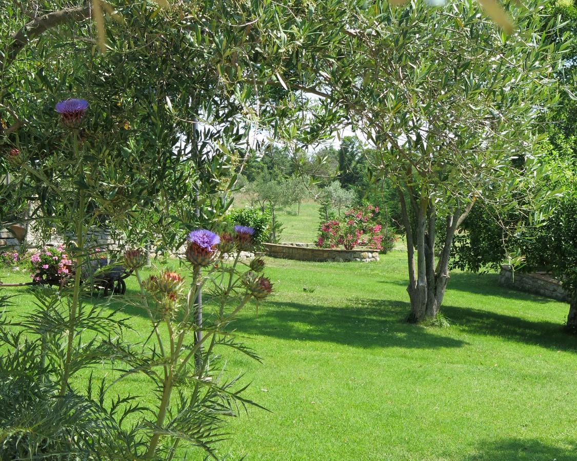 Bed and Breakfast Fonte Magia Castel de' Fiori Экстерьер фото